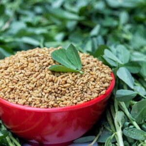 Fenugreek Seeds
